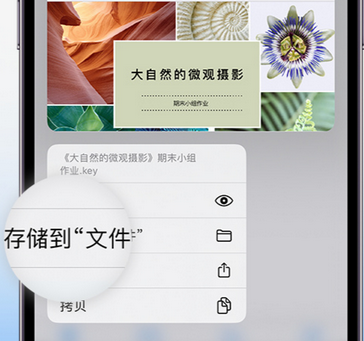 潜江apple维修中心分享iPhone文件应用中存储和找到下载文件