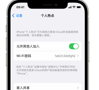 潜江apple服务站点分享iPhone上个人热点丢失了怎么办 