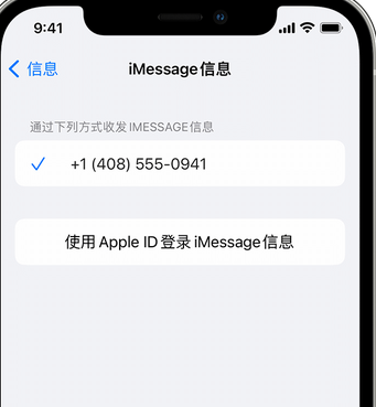 潜江apple维修iPhone上无法正常发送iMessage信息