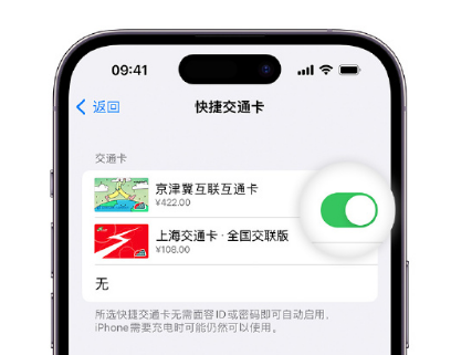 潜江apple维修点分享iPhone上更换Apple Pay快捷交通卡手绘卡面 