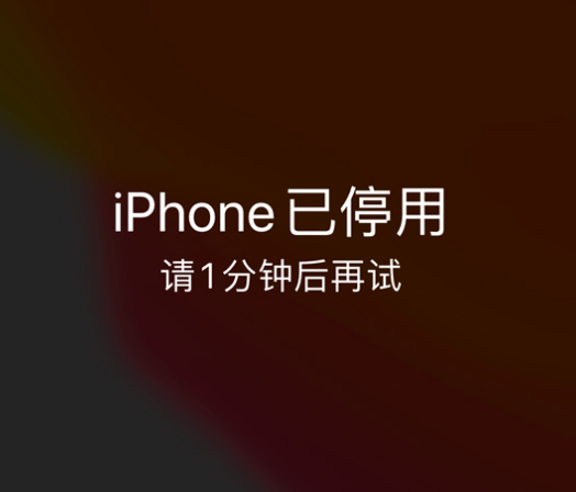 潜江苹果手机维修分享:iPhone 显示“不可用”或“已停用”怎么办？还能保留数据吗？ 