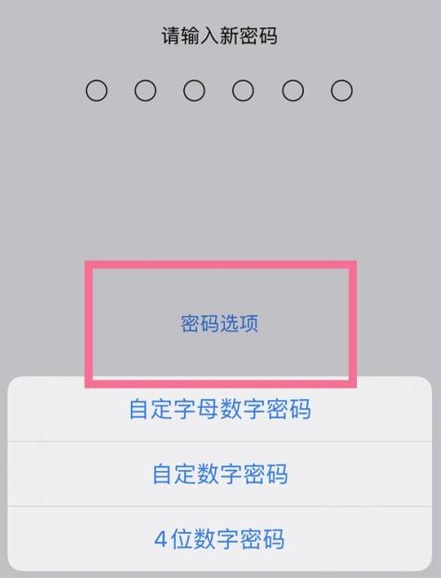 潜江苹果14维修分享iPhone 14plus设置密码的方法 