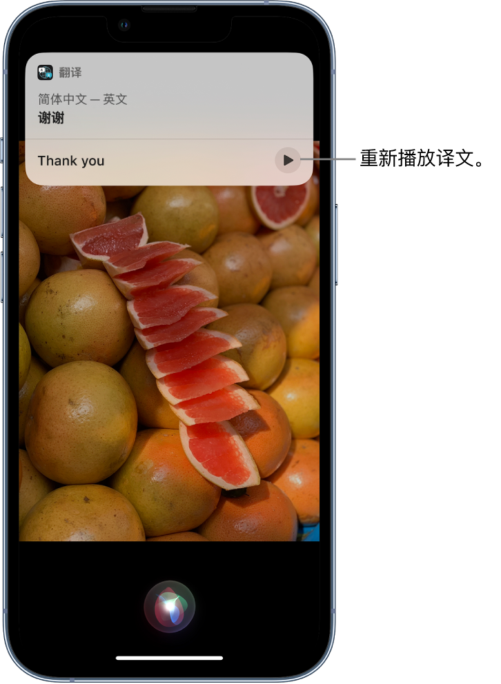 潜江苹果14维修分享 iPhone 14 机型中使用 Siri：了解 Siri 能帮你做什么 