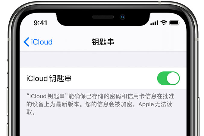 潜江苹果手机维修分享在 iPhone 上开启 iCloud 钥匙串之后会储存哪些信息 